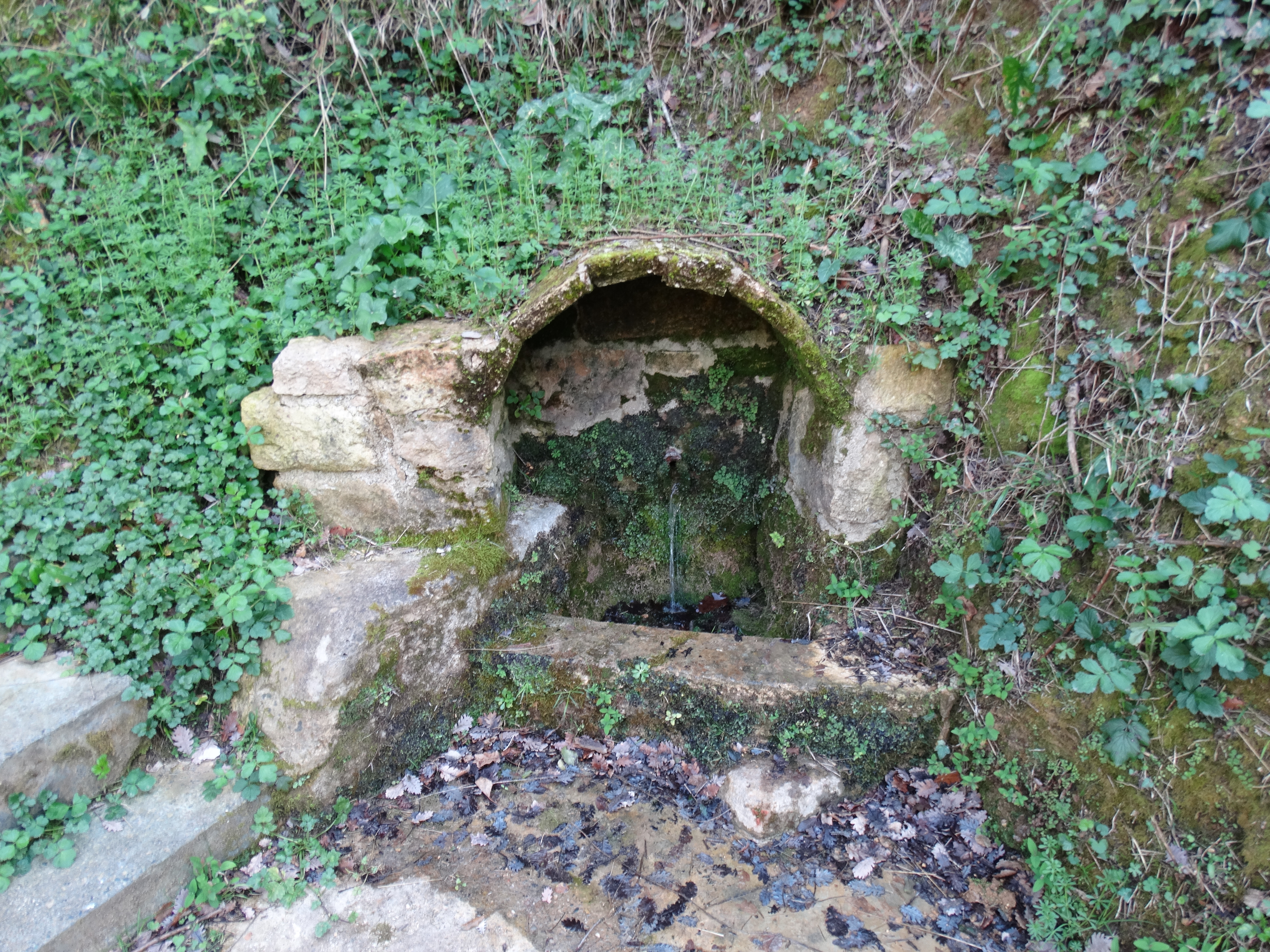 font de melianta (2)