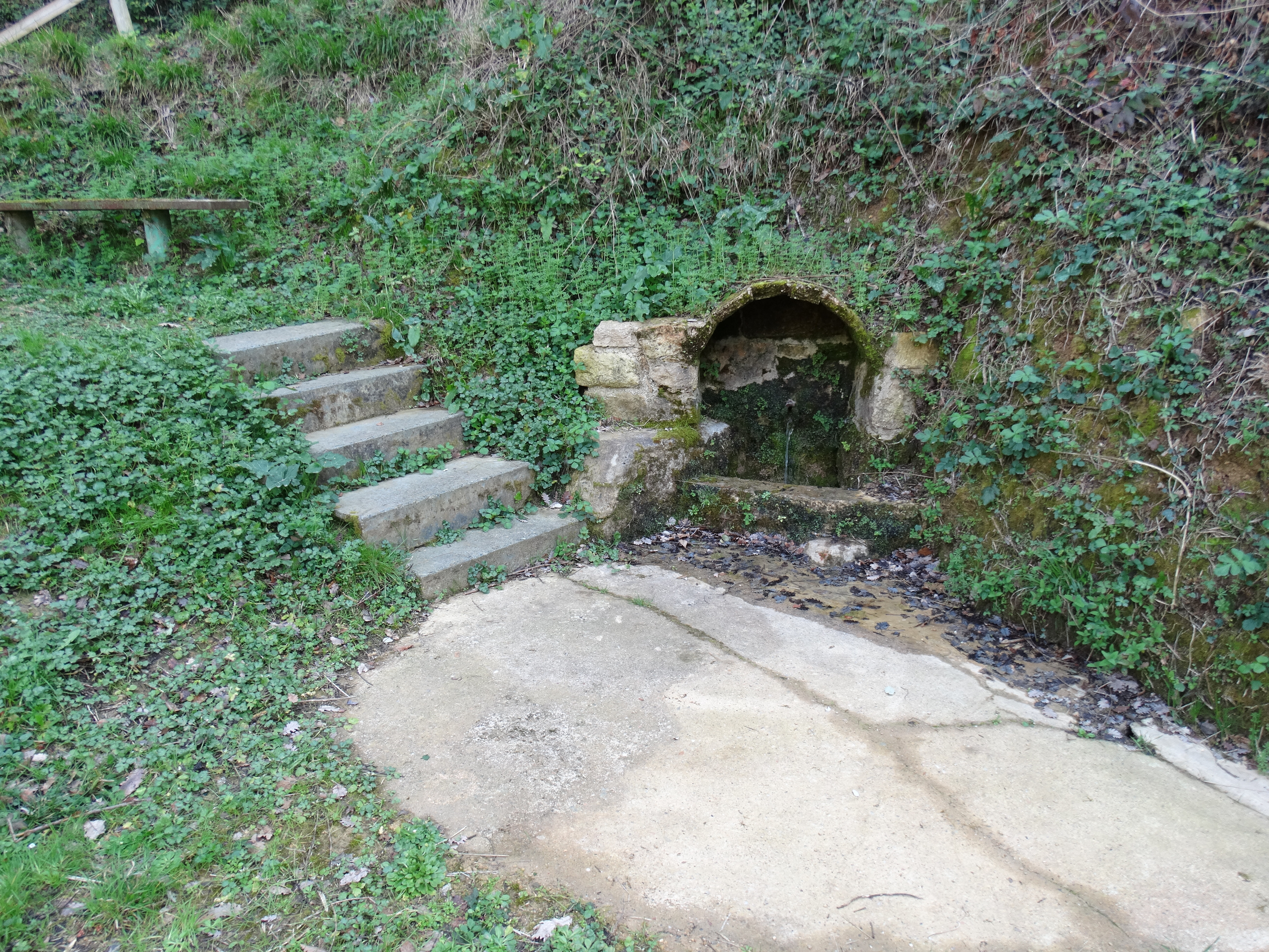 font de melianta (4)