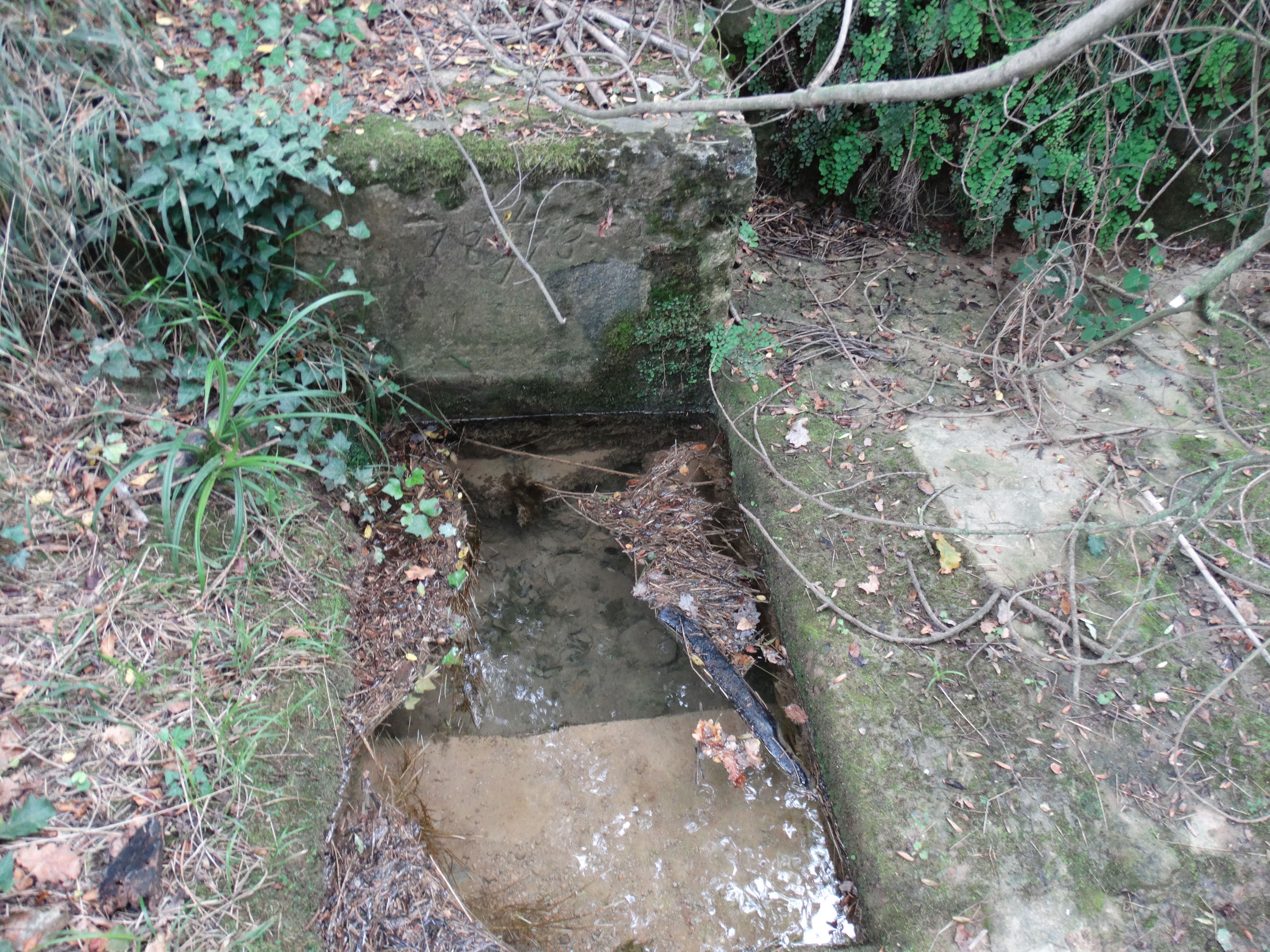 font de pedra (3)