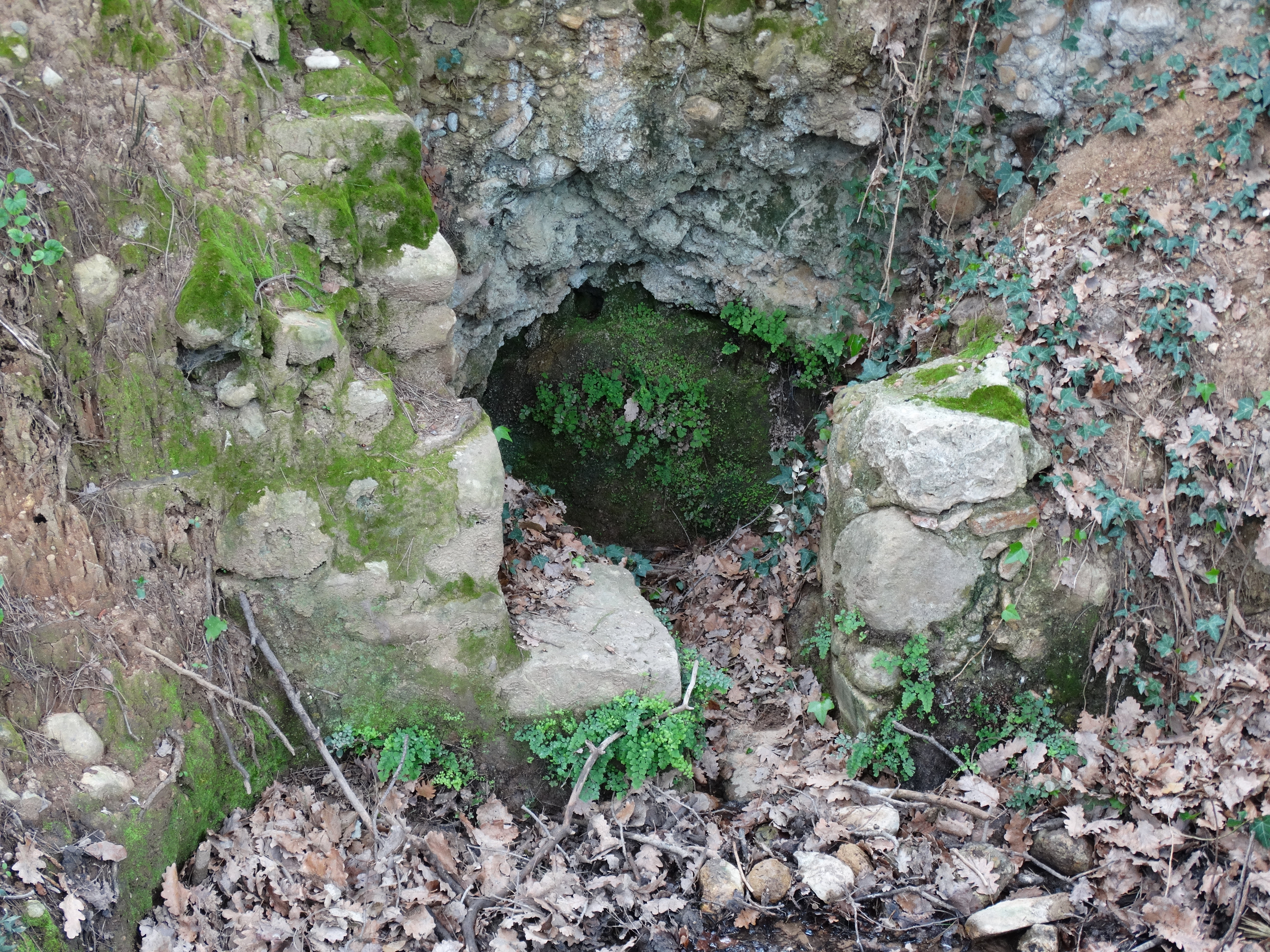 font del capellà (7)