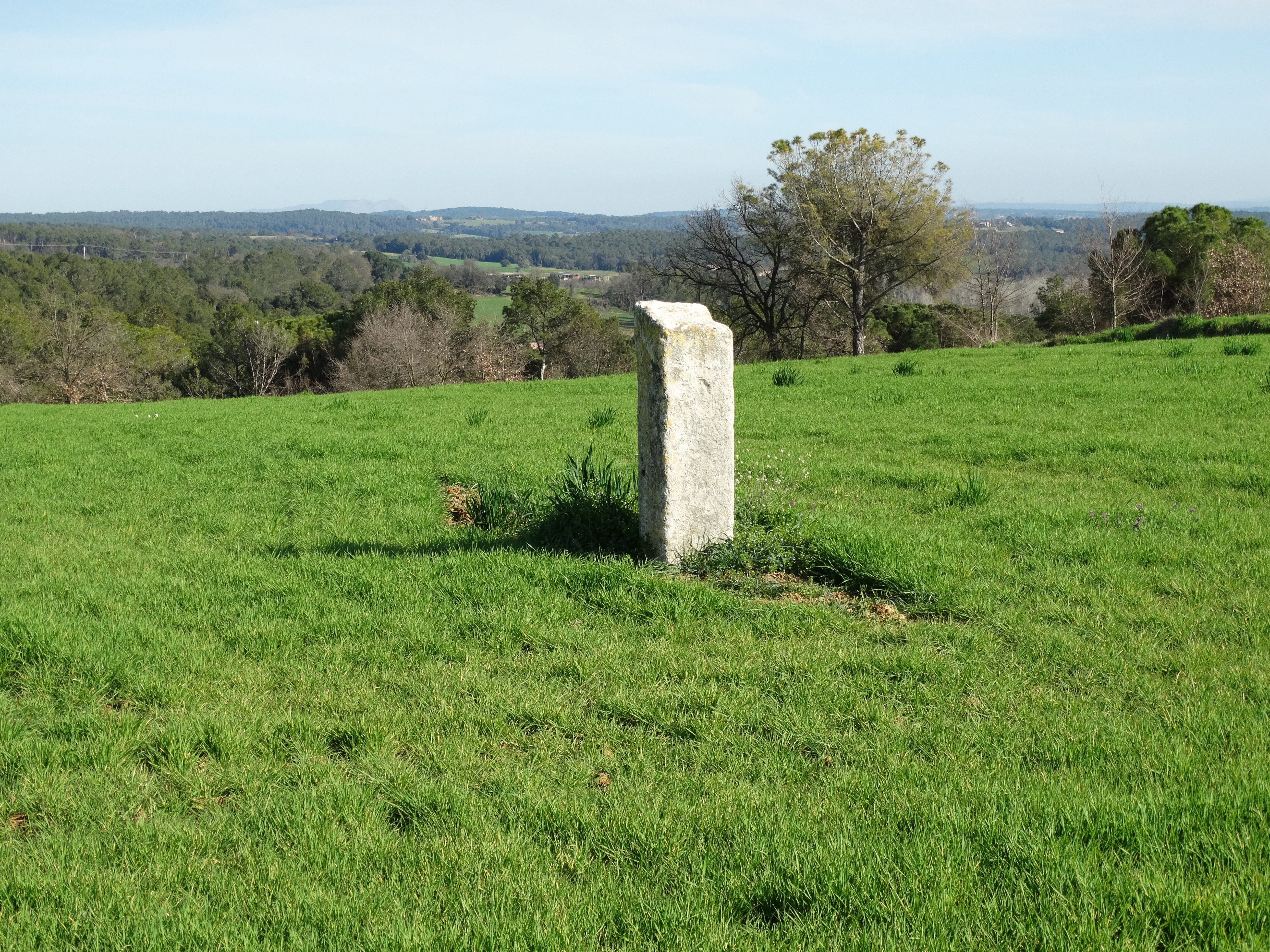 monòlit de la pedra dreta (3)