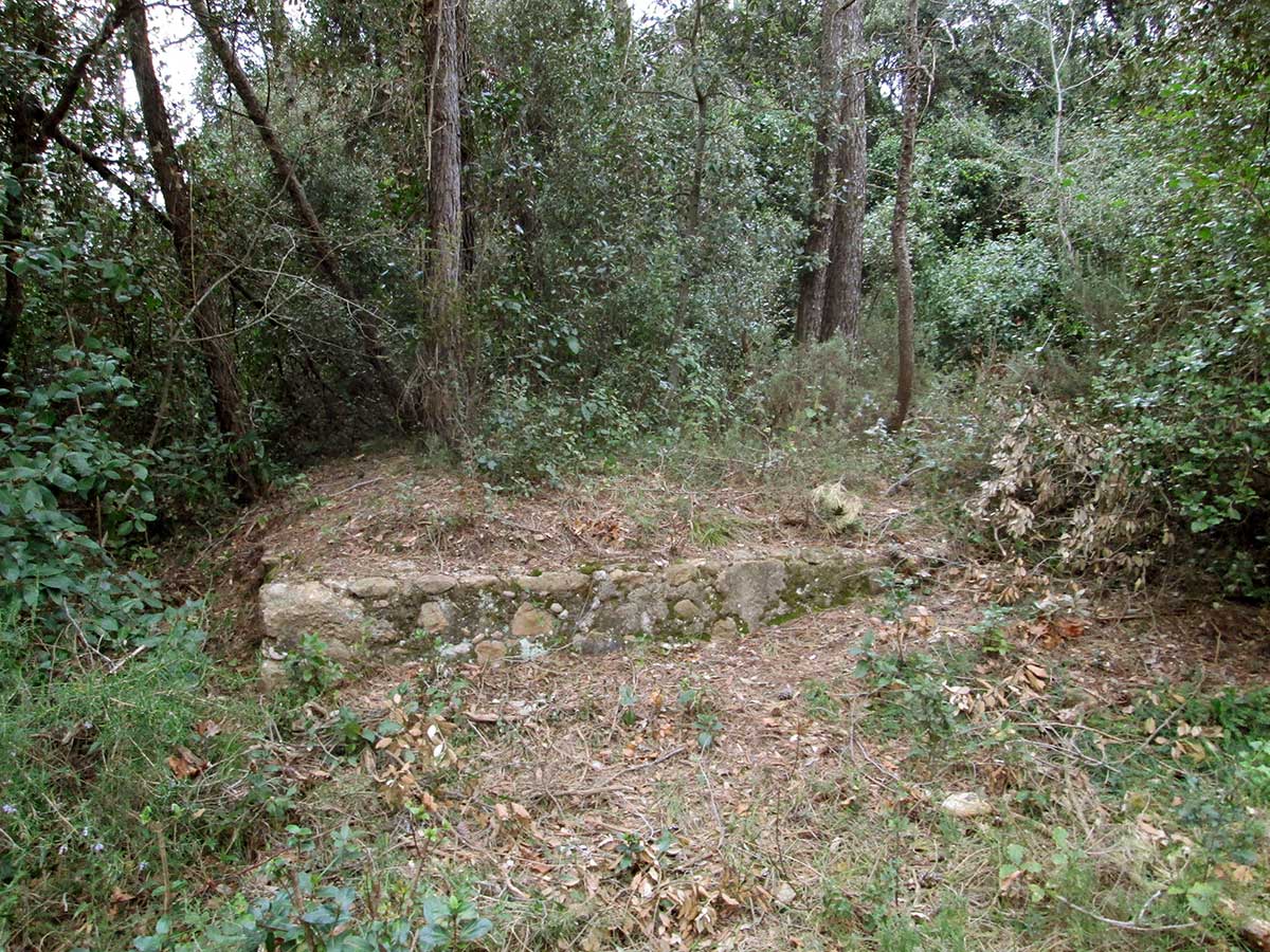 rajoleria02