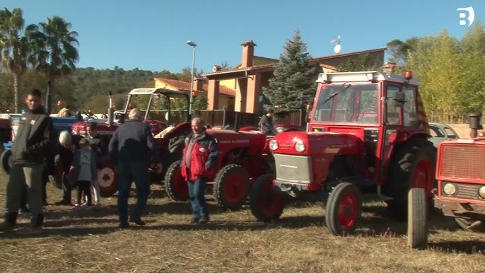 Festa de Santa Llúcia de Palol de Revardit