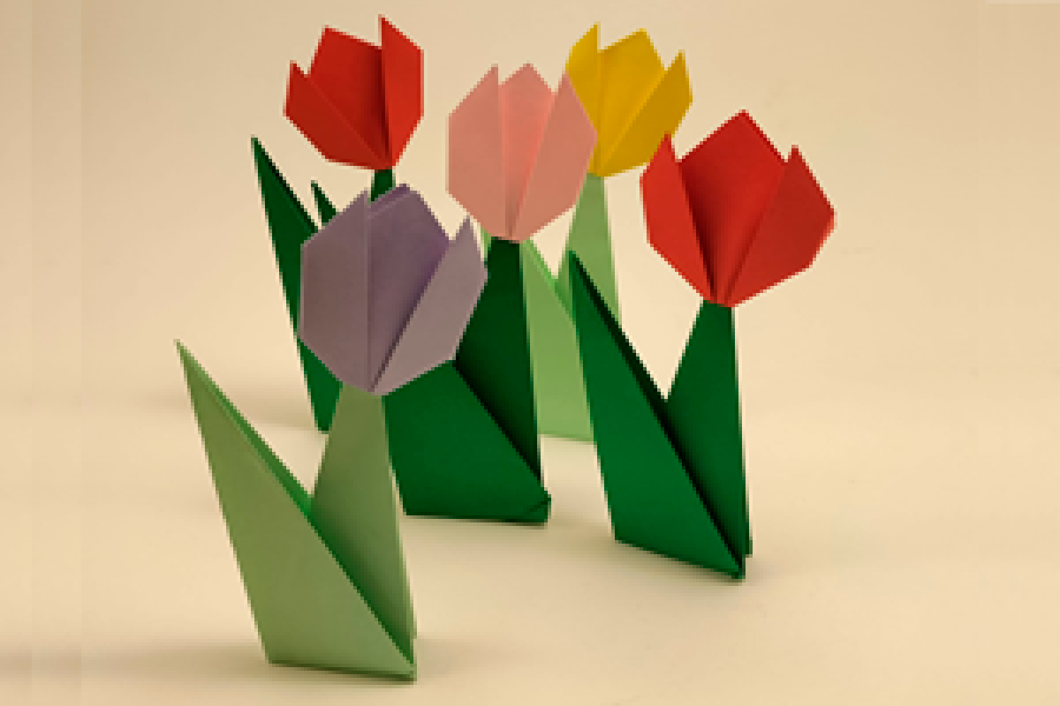 Taller – Pleguem flors