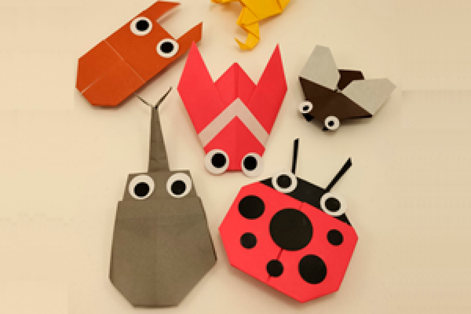 Taller – Pleguem cuques