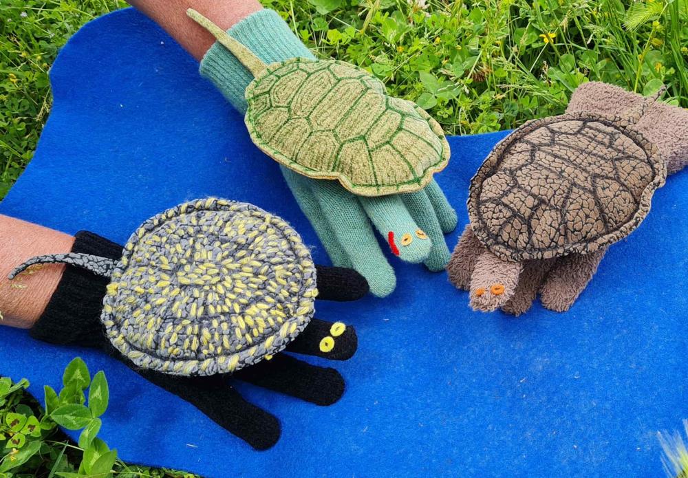 Activitats familiars – Missió tortugues