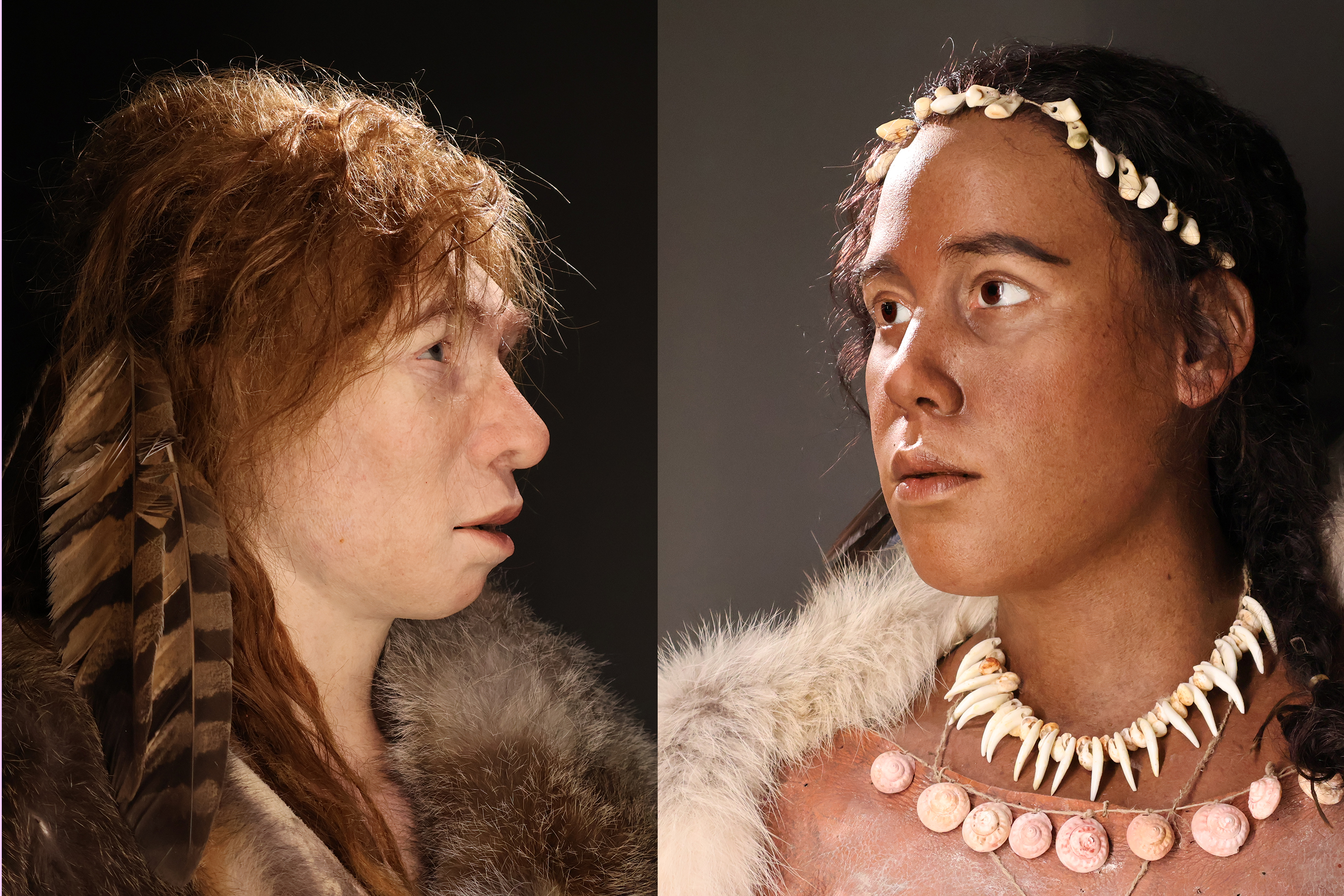 Xerrada - Després de Lucy: l’origen i expansió dels primers humans.