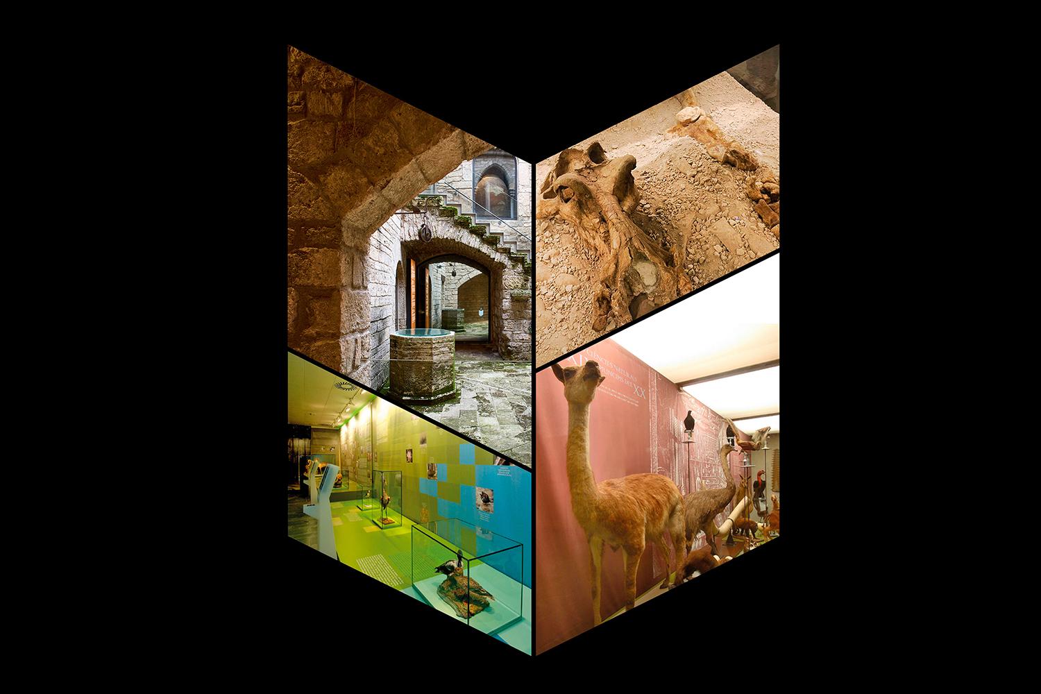 Jornada de portes obertes als museus de Banyoles