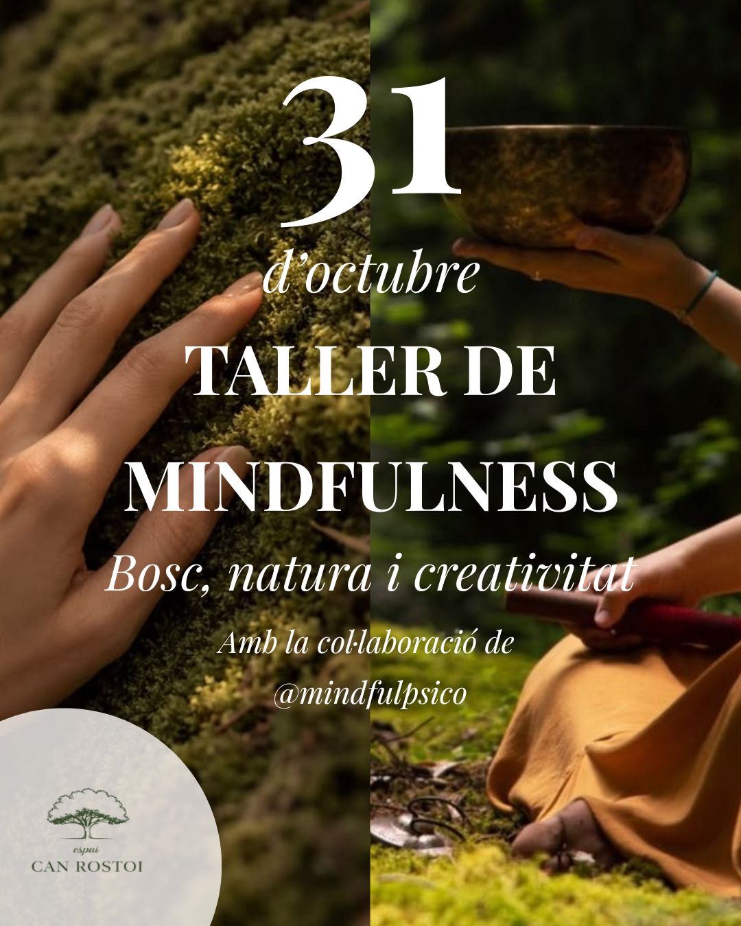 Taller - Bosc, natura i creativitat. Connecta amb el teu present